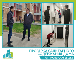 Проверка санитарного содержания дома