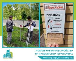 Локальное благоустройство дворов